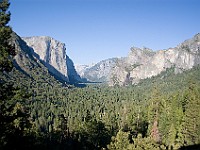 DSC 3112  Yosemite Valley seen from the Tunnel View pullout : flowers