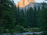 DSC 3147  View of Half Dome from Sentinel Bridge : flowers