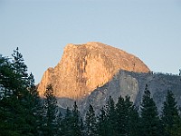 DSC 3148  View of Half Dome from Sentinel Bridge : flowers