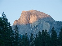DSC 3153  View of Half Dome from Sentinel Bridge : flowers