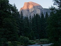 DSC 3155  View of Half Dome from Sentinel Bridge : flowers