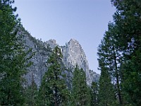 DSC 3159  View of Glacier Point from Yosemite Valley : flowers
