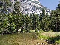 DSC 3174  Floating down the Merced River : flowers