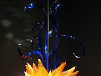 IMG 2096  Dale Chihuly - Chandeliers : flowers, glass, museum