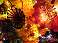 IMG 2104  Dale Chihuly - Persian Ceiling : flowers, glass, museum