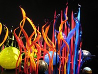 IMG 2113  Dale Chihuly - Mille Fiori Garden : flowers