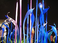 IMG 2114  Dale Chihuly - Mille Fiori Garden : flowers