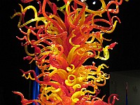 IMG 2116  Dale Chihuly - Mille Fiori Garden : flowers