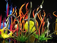 IMG 2120  Dale Chihuly - Mille Fiori Garden : flowers