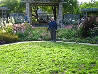IMG 2210 : flowers
