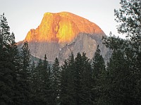 IMG 2221  Half Dome from Sentinel Bridge : flowers