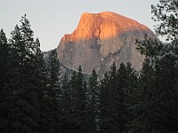 IMG 2224  Half Dome from Sentinel Bridge : flowers