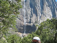 IMG 2236  Richard on the Upper Yosemite Falls trail with the falls in the background : flowers