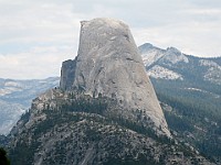 IMG 2276  Half Dome seen from the Panoramic Trail : flowers