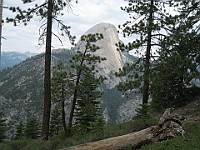 IMG 2291  Half Dome seen from the Panoramic Trail : flowers