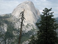 IMG 2293  Half Dome seen from the Panoramic Trail : flowers