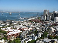IMG 3707  View east from Coit Tower of the Bay Bridge : flowers