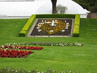 IMG 3751  The flower clock in front of the Conservatory of Flowers : flowers