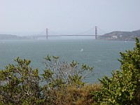 IMG 3945  View of the Golden Gate from an overlook on Angel Island : flowers