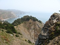 IMG 4402  A look south toward Muir Beach from Muir Beach Overlook : flowers