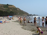 IMG 4418  The crowd at Stinson Beach : flowers