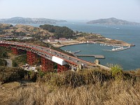 IMG 4446  A look back toward Sausalito : flowers