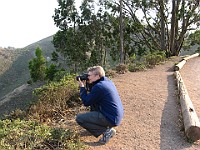 IMG 4454  Richard taking another picture from the Marin Headlands that he doesn't really need : flowers