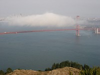 IMG 4467  Fog moving across the bridge : flowers
