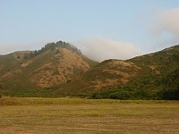 IMG 4485  Fog moving through the hills of the Marin Headlands : flowers
