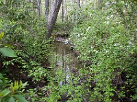 DSC 3768