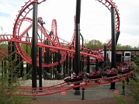 IMG 2813  Ninja : amusement