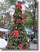 IMG_2594 * Downtown Christmas Tree