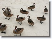 IMG_2614