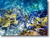 IMG_3420-Edit