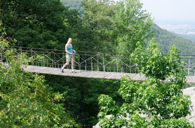 _DSC6826.jpg - Teagan on the Hanging Bridge; Richard preferred the Stone Bridge