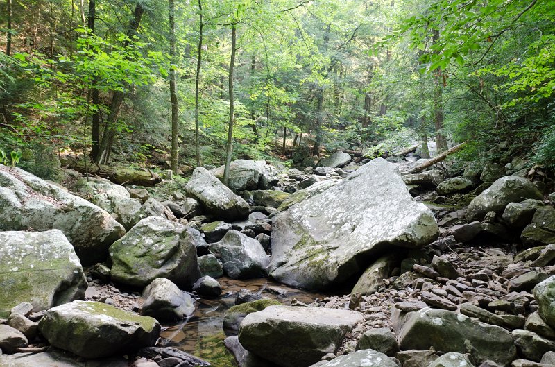 _DSC7011.jpg - The creek bed