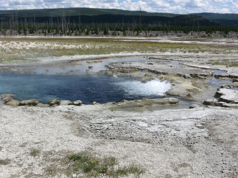 IMG_4269.jpg - A small geyser along Imperial Meadows Trail