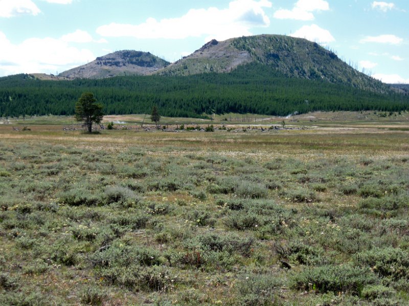 IMG_4272.jpg - Looking across Imperial Meadow; hot springs/geysers in the distance