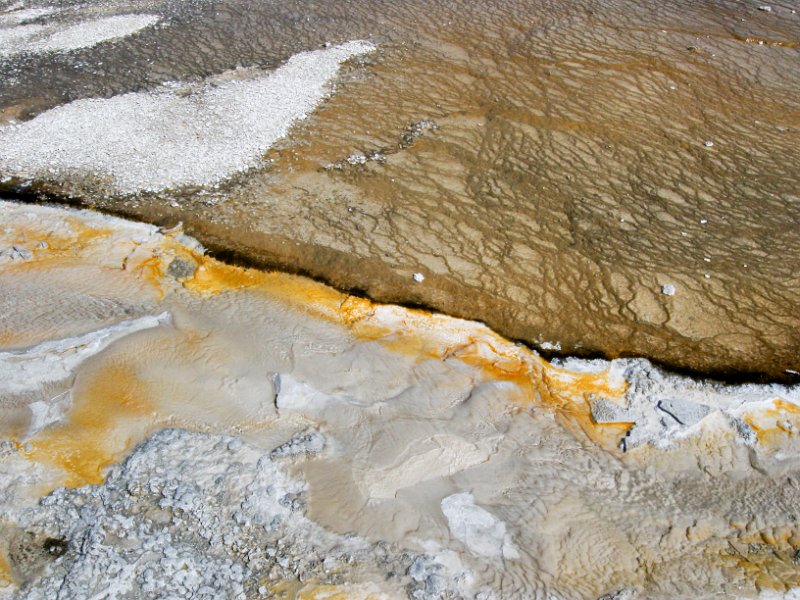 IMG_4379.jpg - Runoff from one of the nearby geysers/hotsprings.