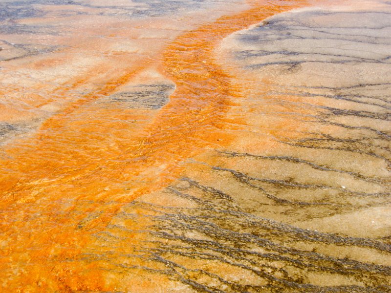 IMG_4710.jpg - Runoff from Grand Prismatic Spring