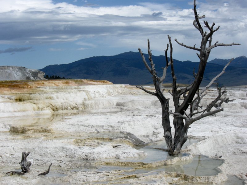 IMG_4944.jpg - Main Terrace at Mammoth Hot Springs