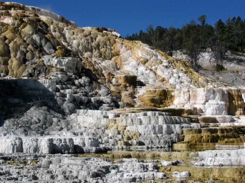 IMG_5166.jpg - Pallete Spring at Mammoth Hot Springs