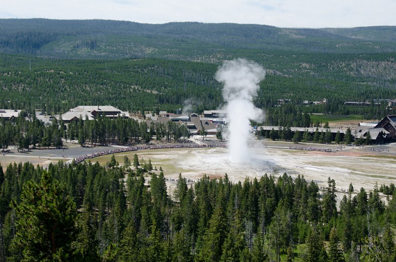 _DSC7212.jpg - Old Faithful seen from the Observation Point Trail
