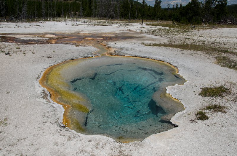 _DSC7228.jpg - Hot spring at the western end of the boardwalk in Biscuit Basin