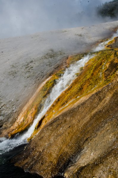 _DSC7392.jpg - Runoff from Midway Geyser Basin into the Firehole River