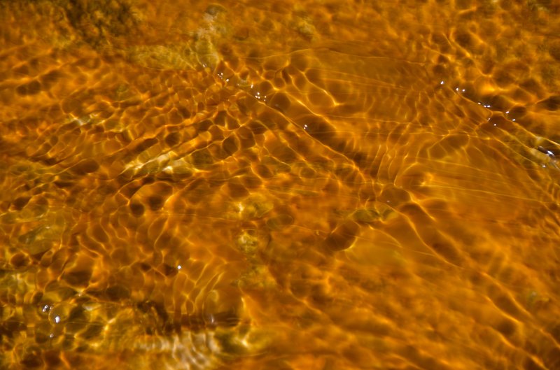 _DSC7405.jpg - Runoff from Grand Prismatic Spring