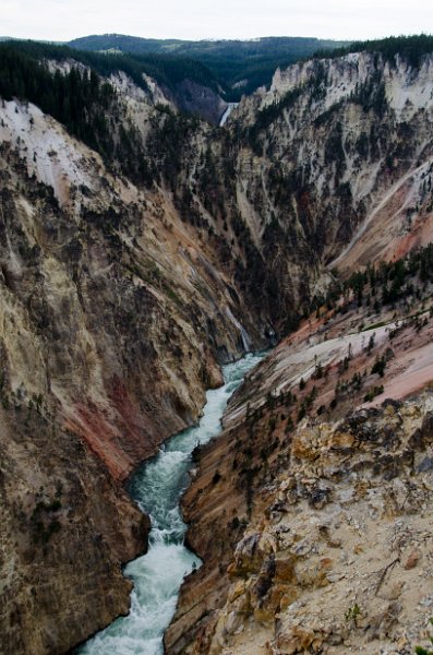 _DSC7456.jpg - View of the Lower Yellowstone Falls from Inspiration Point on the north rim