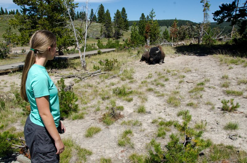 _DSC7495.jpg - Teagan and a bison on the Mud Volcano boardwalk