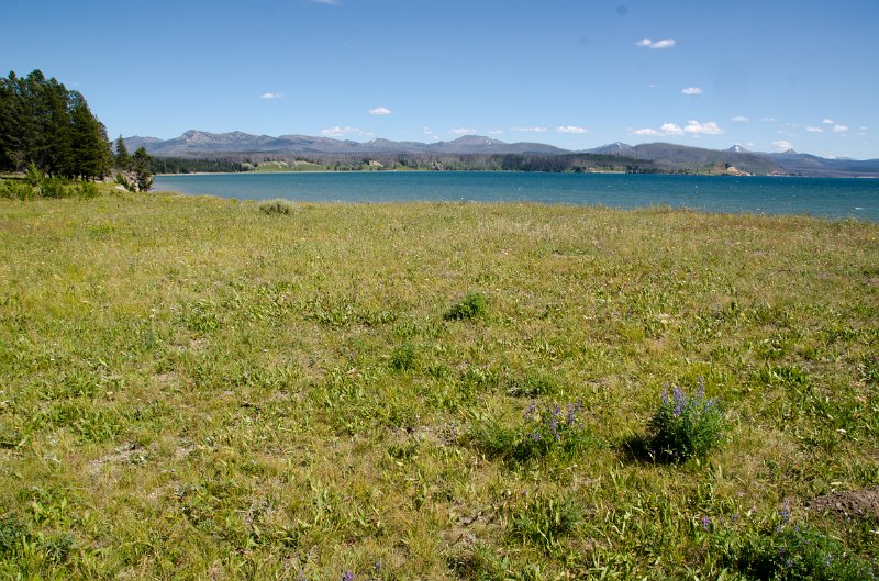 _DSC7498.jpg - Yellowstone Lake seen from the Storm Point Trail