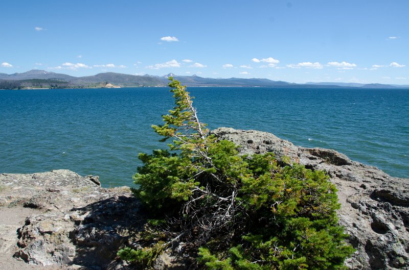 _DSC7501.jpg - Storm Point on Yellowstone Lake